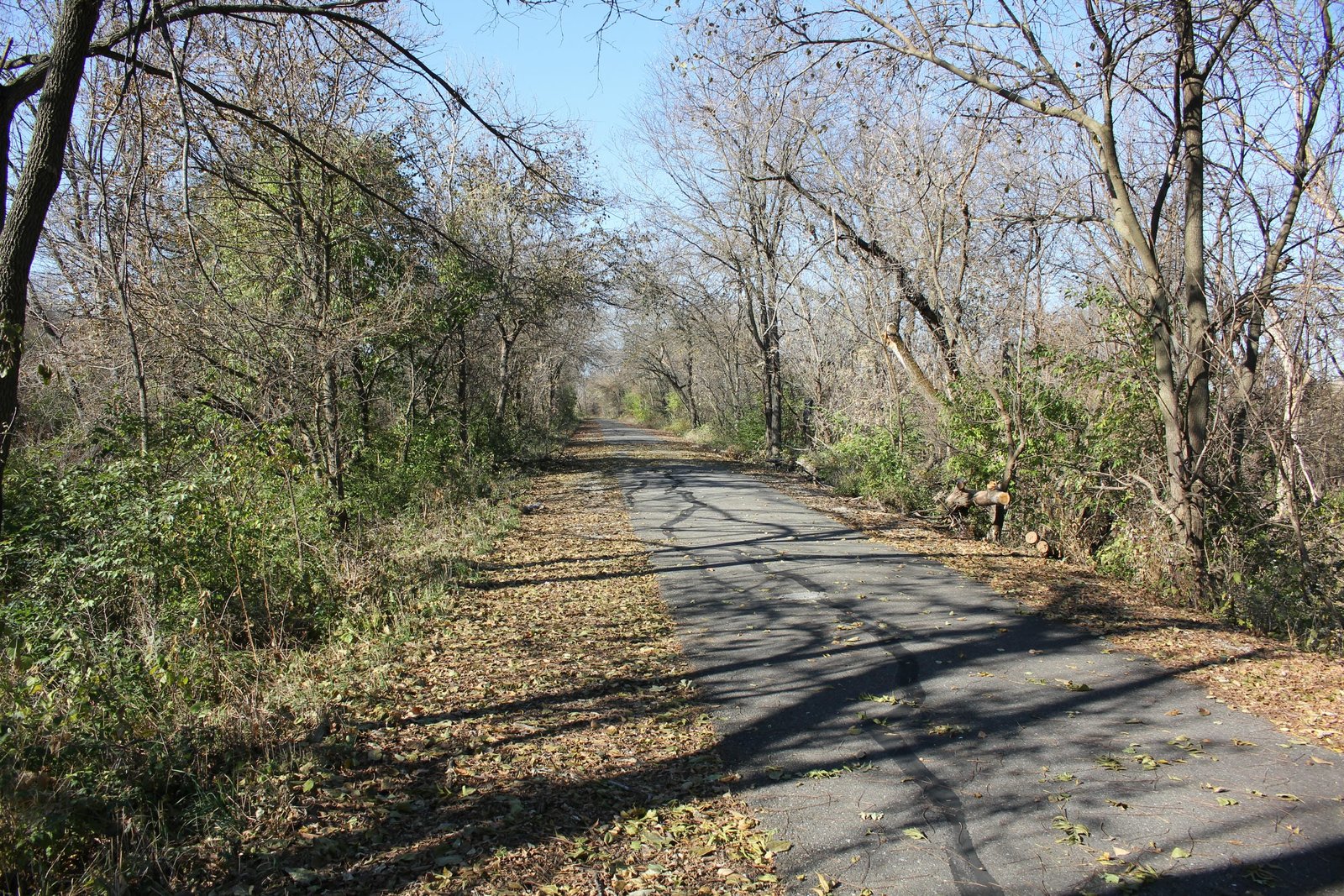 Looking west (railroad south)
